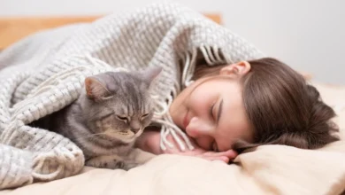 Когда жизнь проходит мимо: 5 признаков того, что вы теряете контакт с собой (а в конце — тест)