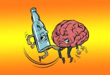 Алкоголизм в семье влияет на то, как мозг переключается между состояниями активности и отдыха