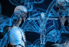 ДНК – не приговор. Удивительная связь между вами и вашими генами