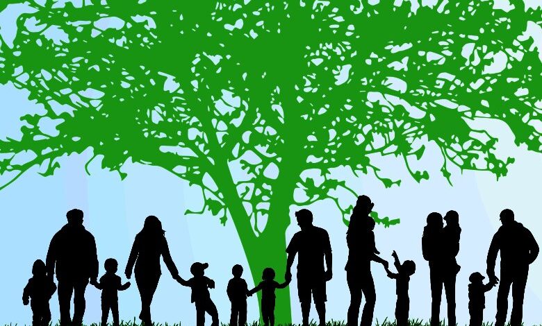 Почему ушел из жизни драматург Н. Я. Соловьев? О повторяющихся семейных сценариях