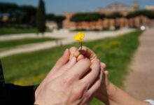 Секрет счастливого брака: о чем молчат пары, которые вместе больше 20 лет
