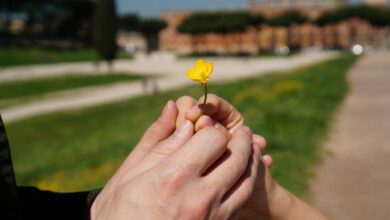 Секрет счастливого брака: о чем молчат пары, которые вместе больше 20 лет