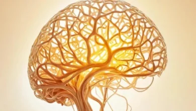 Эволюция понимания депрессии через призму нейропсихологии