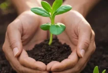 Путь к исцелению от абьюза и токсичных отношений