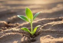 Когда мир теряет краски: Понимание состояния