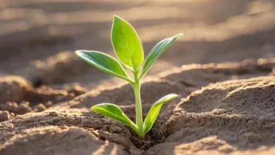 Когда мир теряет краски: Понимание состояния