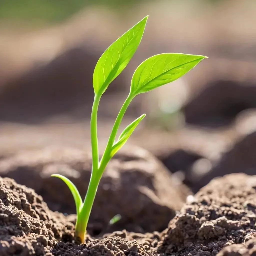 Преодоление страха провала и боязни ошибки