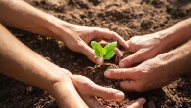 Инструменты для Процветания: От Теории к Практике