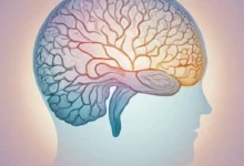 Медитация и её Влияние на Структуру Мозга: Нейробиологические Аспекты