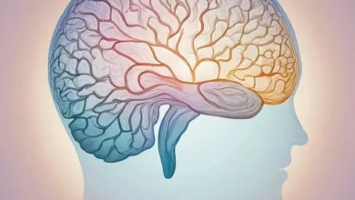 Медитация и её Влияние на Структуру Мозга: Нейробиологические Аспекты