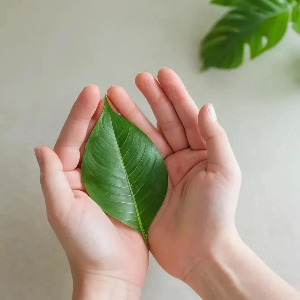 Как справиться с тревогой и стрессом: путь к внутреннему покою