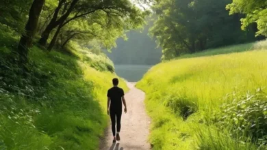 Психическое благополучие: Почему ментальное равновесие — ключ к полноценной жизни