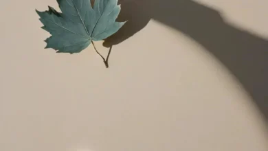 Тревога и фобия как отличить и когда обратиться за помощью