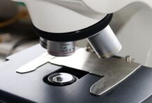 Многодетный белорус перестал быть отцом после ссоры с женой: подробности раскрыли в ГКСЭ