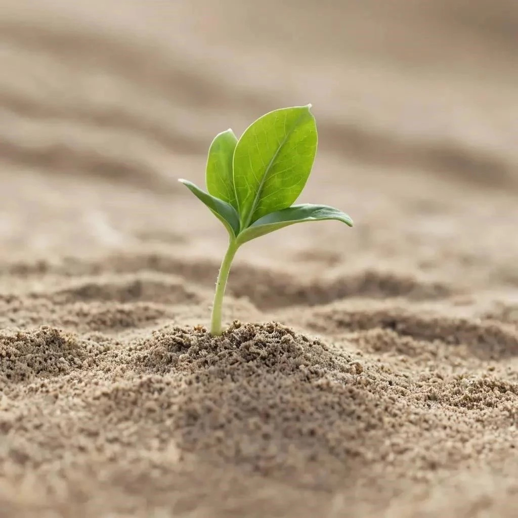 Психологическая устойчивость и адаптация в условиях неопределенности