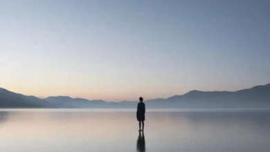 Психологические Последствия Информационной Перегрузки