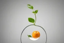 Рациональная фармакотерапия: Когда лекарство становится необходимостью, а не выбором