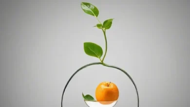 Рациональная фармакотерапия: Когда лекарство становится необходимостью, а не выбором Рациональная фармакотерапия: Когда лекарство становится необходимостью, а не выбором