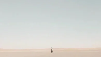 Стратегии самоопределения: Путь к гармонии и личностному росту