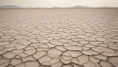 Постстрессовое состояние: механизмы, последствия и восстановление Постстрессовое состояние: механизмы, последствия и восстановление