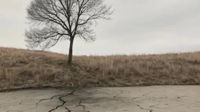 Феномен утраты: От горя к адаптации и посттравматическому росту