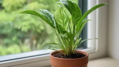 Помощь другим: невидимая цена для себя