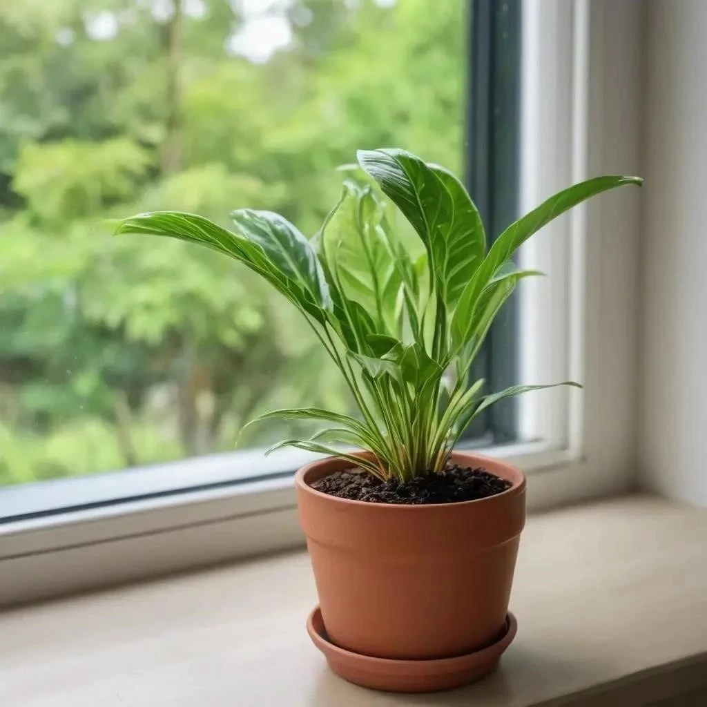 Помощь другим: невидимая цена для себя