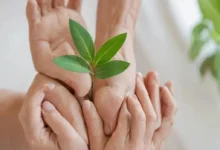 Истории людей, сменивших образ жизни ради психического здоровья: Путь к исцелению и гармонии