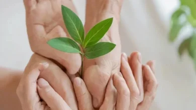 Истории людей, сменивших образ жизни ради психического здоровья: Путь к исцелению и гармонии Истории людей, сменивших образ жизни ради психического здоровья: Путь к исцелению и гармонии