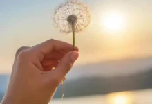 Понимание Неизбежности: Отказ от борьбы с прошлым