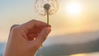 Понимание Неизбежности: Отказ от борьбы с прошлым Понимание Неизбежности: Отказ от борьбы с прошлым