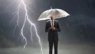Финансовая безопасность при разводе